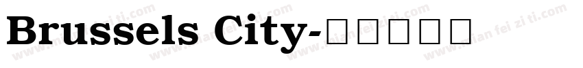 Brussels City字体转换